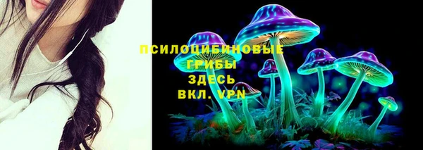 шишки Куйбышев