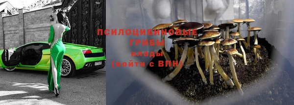 бошки Лагань