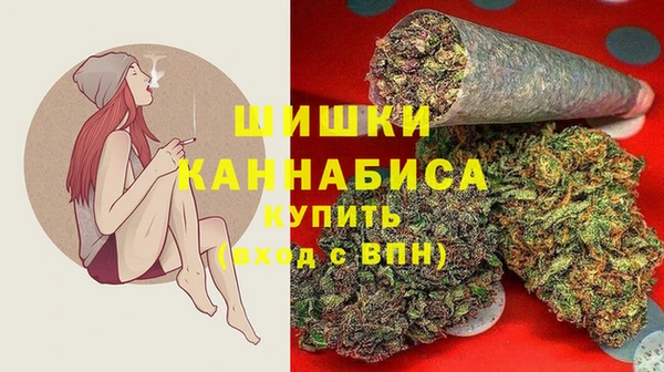 бошки Лагань