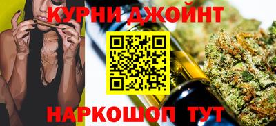 гашик Ливны
