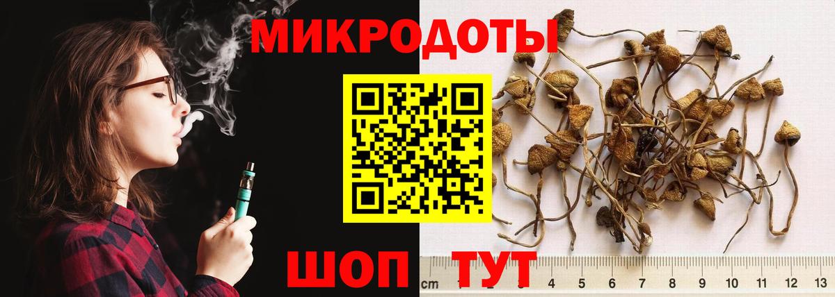 Галлюциногенные грибы ЛСД Ухта