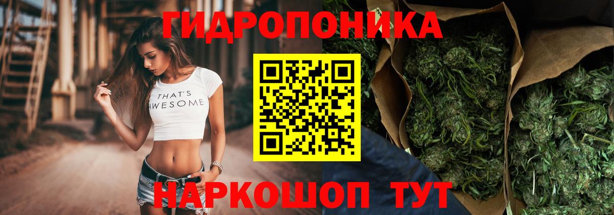 Канабис гибрид Ухта